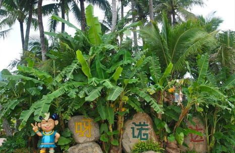 海南呀诺达热带雨林景区OTA分销管理系统解决方案