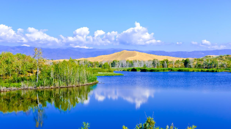 多业态联动增收：白沙湖景区多业态分账系统的盈利密码