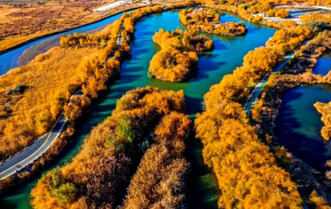 泽普金湖杨景区智慧升级：多业态分账管理系统如何引爆“胡杨经济”？