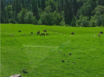 新疆那拉提景区引入人脸入园检票管理系统