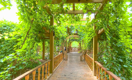 吐鲁番葡萄沟智慧突围：一套电子票系统如何引爆“甜蜜经济”？