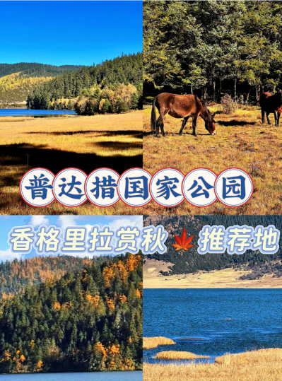 拒绝“走马观花”，让普达措的每一寸净土都“会说话”：迪庆香格里拉普达措国家公园智能导览系统的生态化升级之路