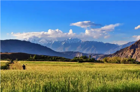 新疆喀什帕米尔旅游区售检票系统解决方案（高海拔边境景区专属）
