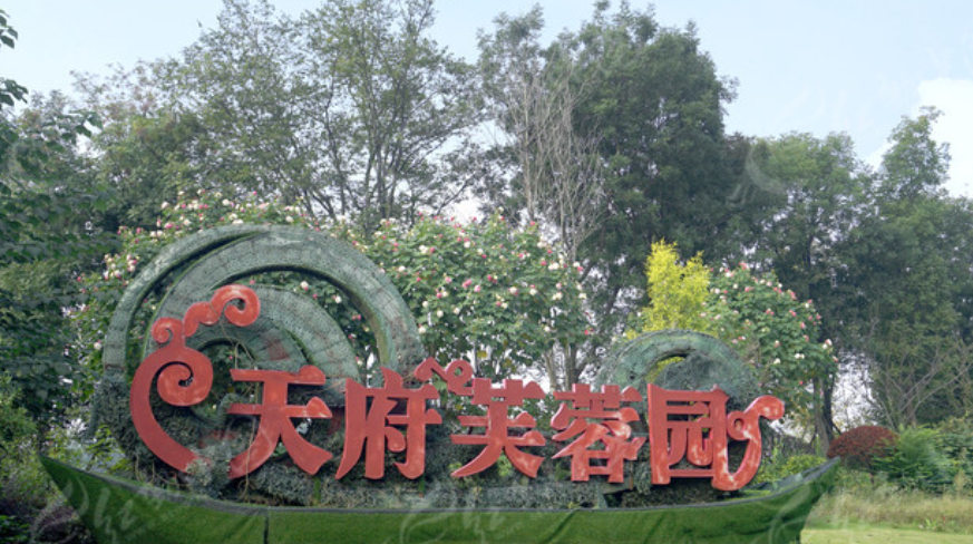 激活十二篱院商业活力：天府芙蓉园多商户分账票务系统解决方案与落地成效