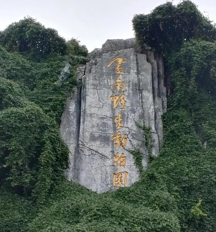 云南野生动物园智能导览系统解决方案：破解"自驾看不到、亲子走断腿、投喂不规范"三大难题