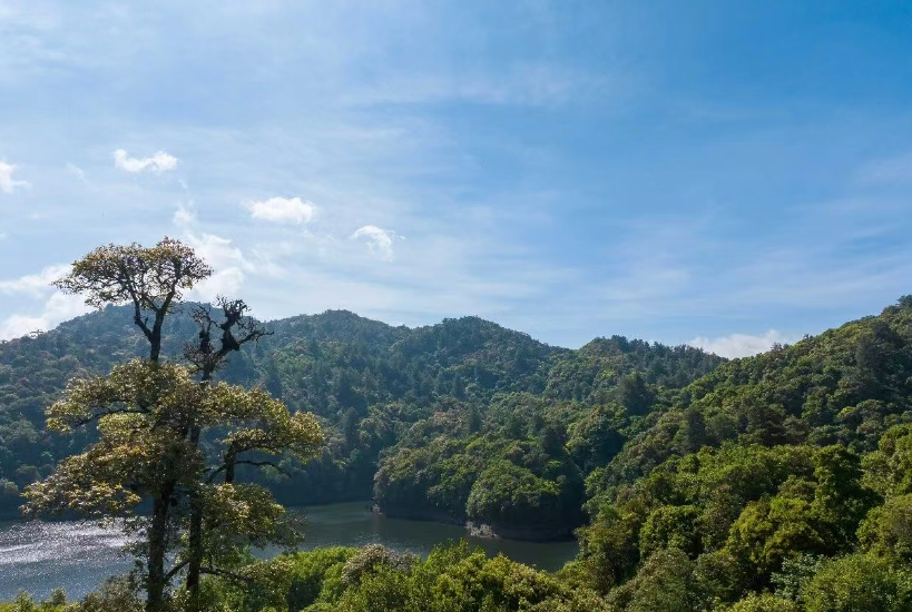 4A景区哀牢山多商户系统和小泥人达成合作,多商户智能分账功能和优势