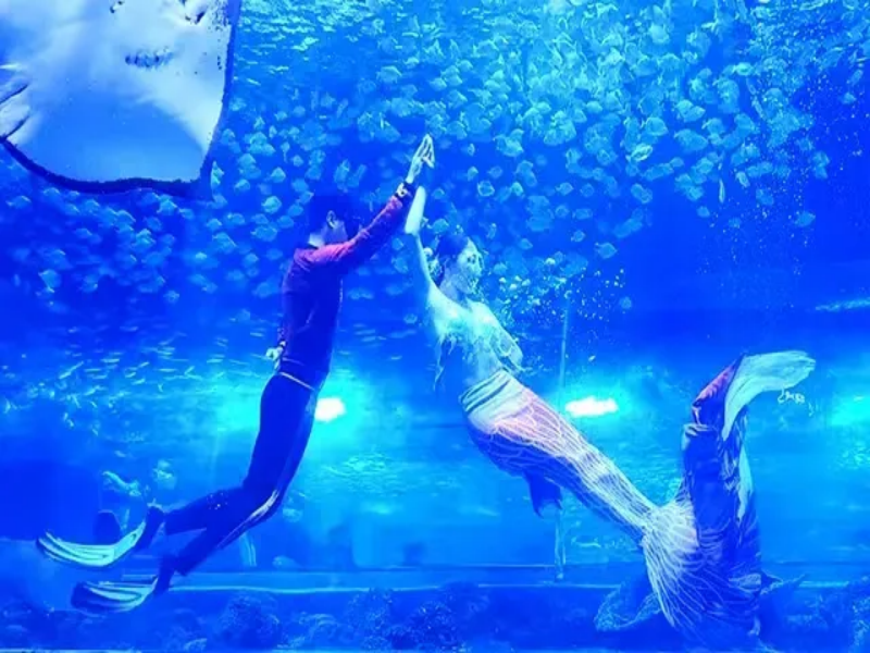 小泥人助力张家口天保那苏图景区智慧升级