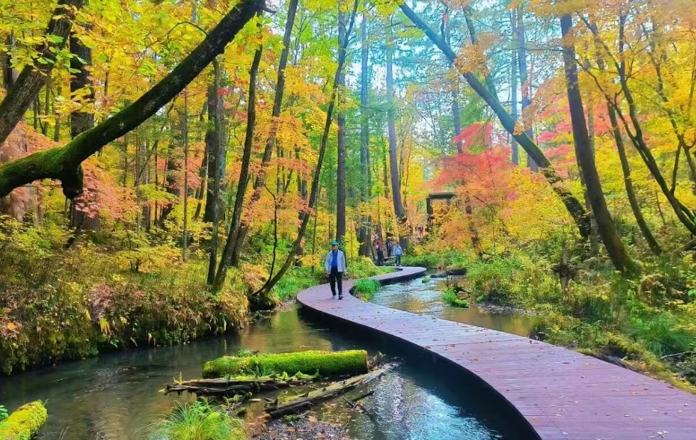 智能翼闸源头厂家定制交付，延边九溪听泉景区翼闸正式落地：高客流景区通行效率升级
