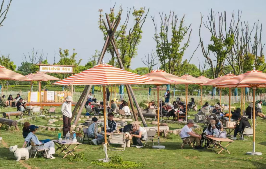 适配宠物游玩场景 小泥人票务系统签约落地上海超级毛球公园