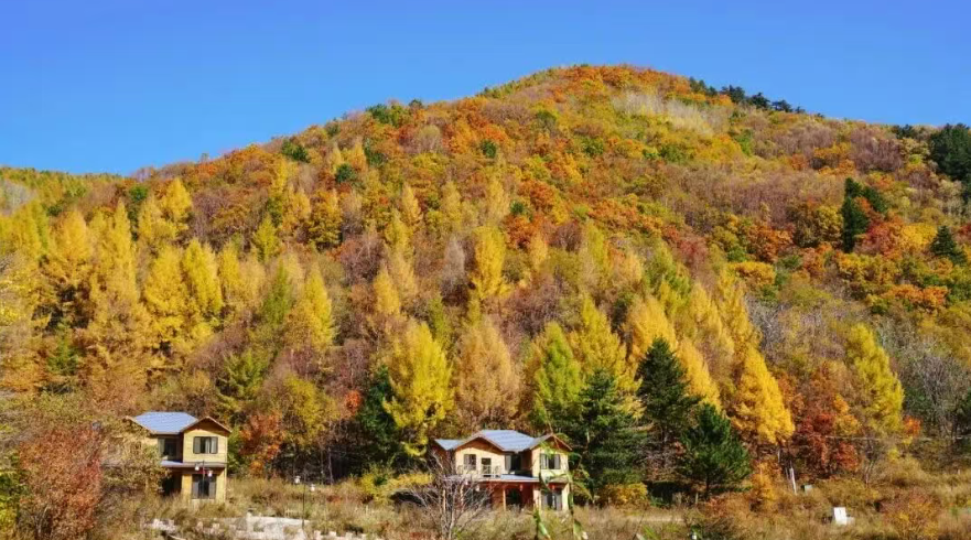 数字赋能塞外山湖！小泥人签约赤峰道须沟、紫蒙湖两大 4A 景区智能导览项目